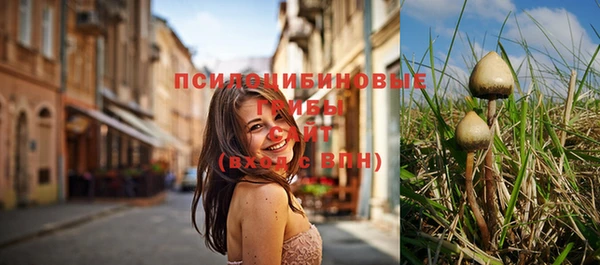 не бодяженный Армянск